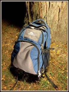 Backpack sierra best sale