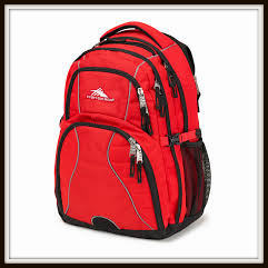 Swerve Backpack from High Sierra