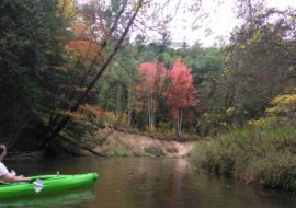 fall colors on trees while kayaking the pine river