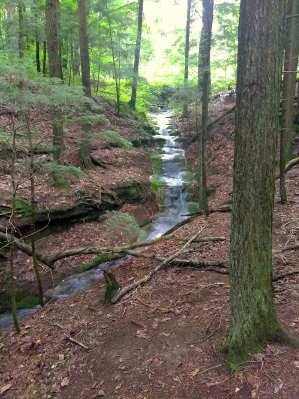 Hiking Hocking Hills and Camping Hullabaloo - The Outdoor Soul