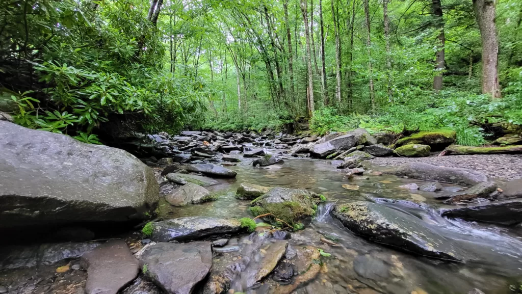 Creek through the Smoky Mountain National Park